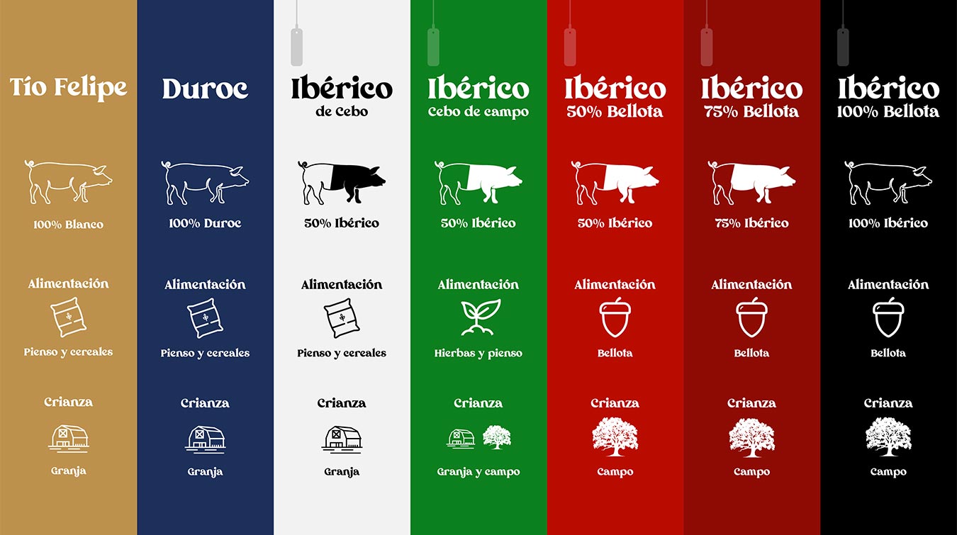 Comparativa de tipos de jamón: Tío Felipe, Duroc, Ibérico de Cebo, Ibérico Cebo de Campo, Ibérico 50% Bellota, Ibérico 75% Bellota e Ibérico 100% Bellota