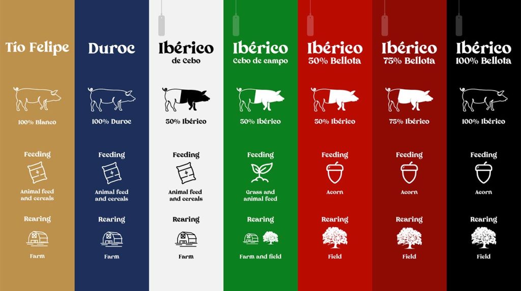 Comparativa de tipos de jamón: Tío Felipe, Duroc, Ibérico de Cebo, Ibérico Cebo de Campo, Ibérico 50% Bellota, Ibérico 75% Bellota e Ibérico 100% Bellota