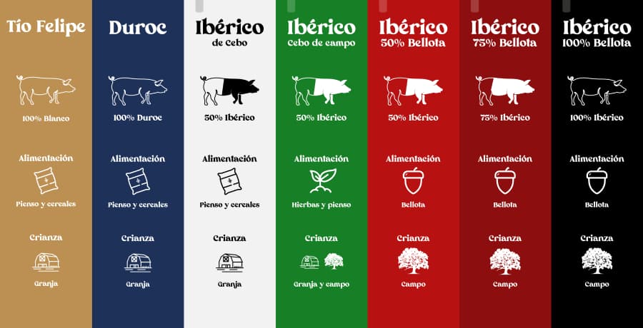 Infografía de categorías de jamón: Duroc, ibérico de cebo, cebo de campo, 50% 75% y 100% bellota – Museo del Jamón